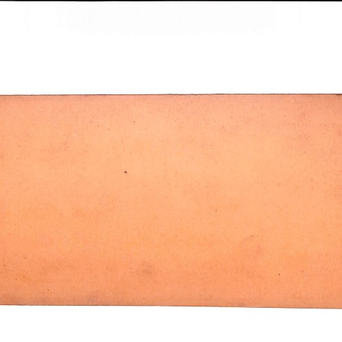 Vista estereoscópica Inconvenience of Single Life — R. Y. Young, 1897