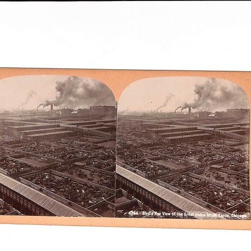📷 Vista estereoscópica — Bird’s-Eye View of the Great Union Stock Yards, Chicago
