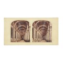 Vista estereoscópica Tissue – Les lages de Raphael