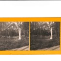 📷 Vista estereoscópica  Le Mans – Jardin Public (Francia)