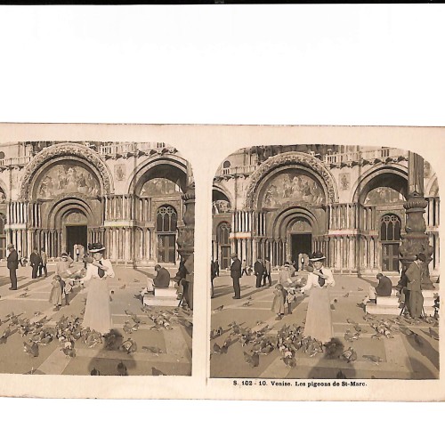 📷 Vista estereoscópica Venise – Les pigeons de Saint-Marc (Vues d’Italie)