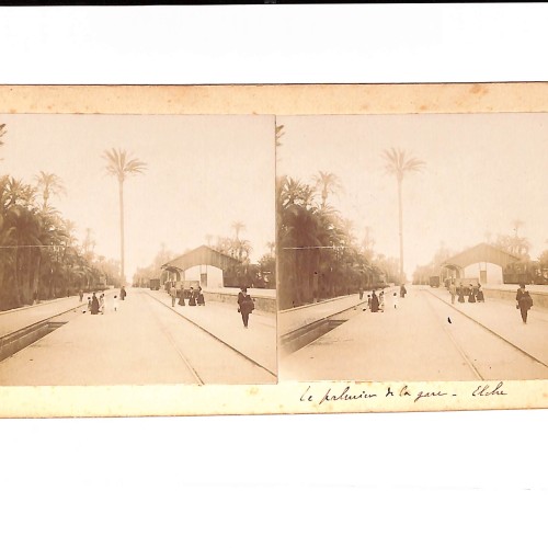 Vista estereoscópica  Le palmier de la gare - Elche — El palmero de la estación - Elche.