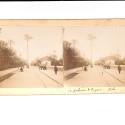Vista estereoscópica  Le palmier de la gare - Elche — El palmero de la estación - Elche.