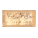 📷 Vista estereoscópica Tissue – Photographie G.A.F. - Galerie de Diane