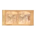📷 Vista estereoscópica Tissue – Photographie G.A.F. - Salon des tapisseries