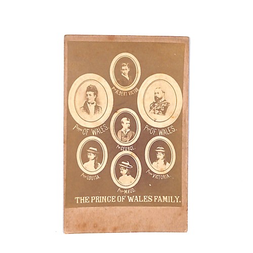 📷 CDV — The Prince of Wales Family