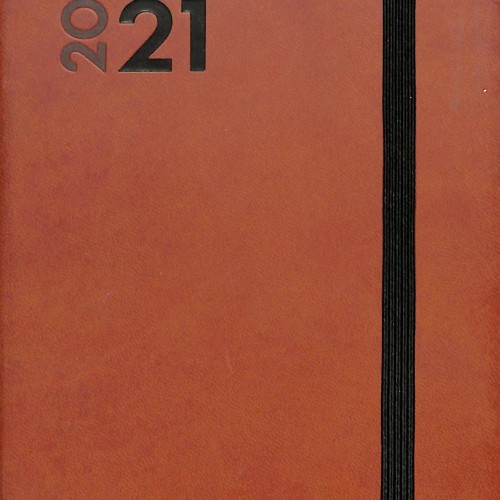Revistas Finocam — Año 2021