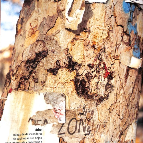 Revista: Fotogramas
