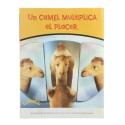 Revista Fotogramas & Video junio 2001