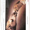 Revista: Fotogramas & Vídeo
