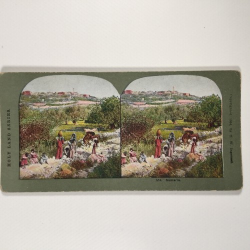 View estereo cardboard
