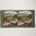 View estereo cardboard