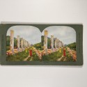 View estereo cardboard