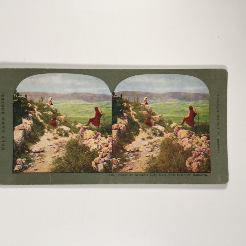 View estereo cardboard