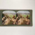 View estereo cardboard