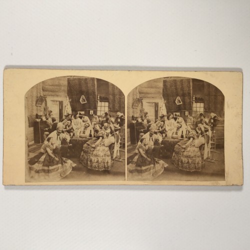 View estereo cardboard