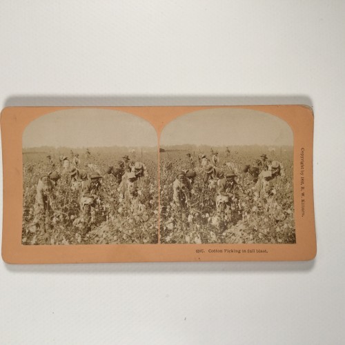 View estereo cardboard