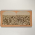View estereo cardboard
