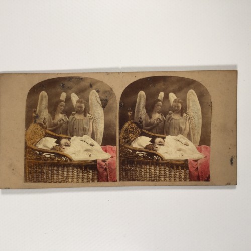 View estereo cardboard