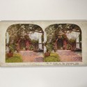 View estereo cardboard
