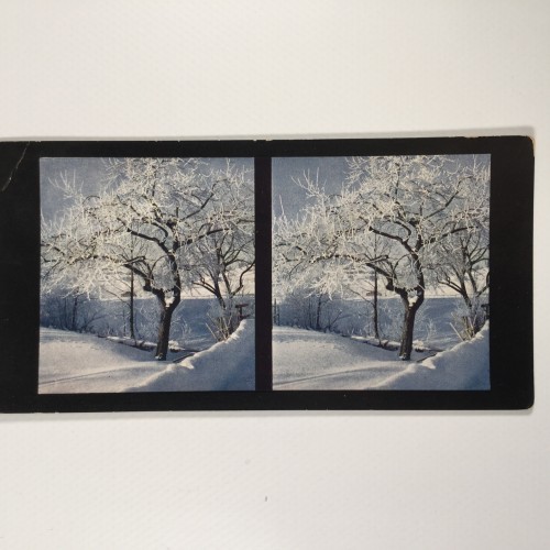 View estereo cardboard