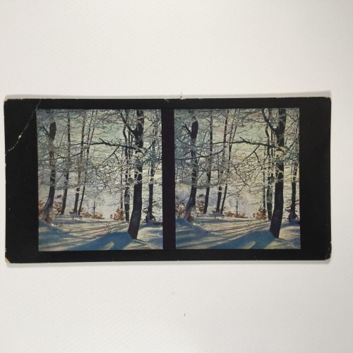 View estereo cardboard