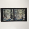 View estereo cardboard