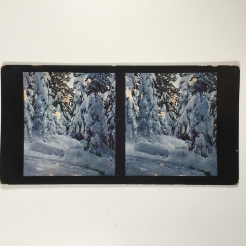 View estereo cardboard