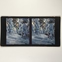 View estereo cardboard