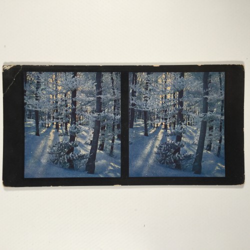 View estereo cardboard