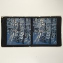 View estereo cardboard