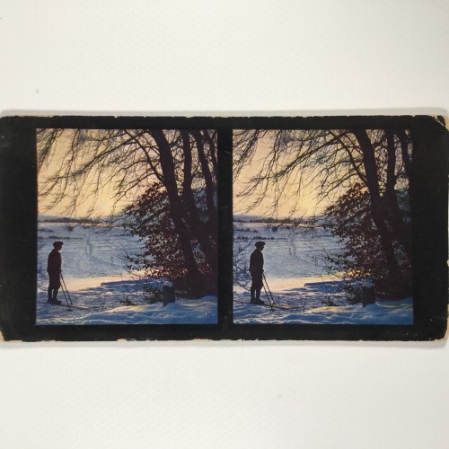 View estereo cardboard