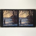 View estereo cardboard