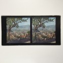 View estereo cardboard