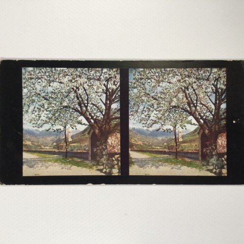 View estereo cardboard