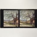 View estereo cardboard