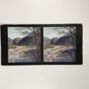 View estereo cardboard
