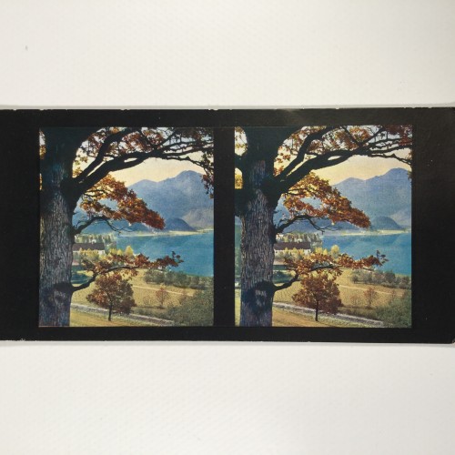 View estereo cardboard