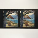 View estereo cardboard