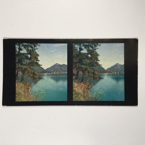 View estereo cardboard