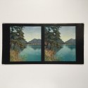 View estereo cardboard