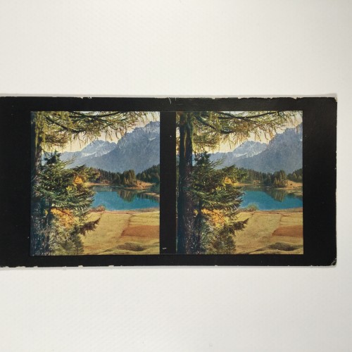 View estereo cardboard