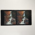 View estereo cardboard