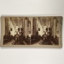 View estereo cardboard
