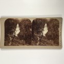 View estereo cardboard