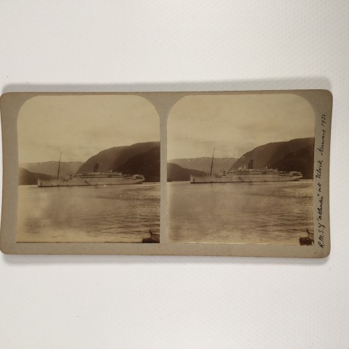 View estereo cardboard