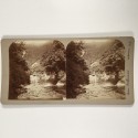 View estereo cardboard