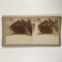 View estereo cardboard