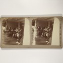 View estereo cardboard