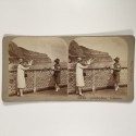 View estereo cardboard